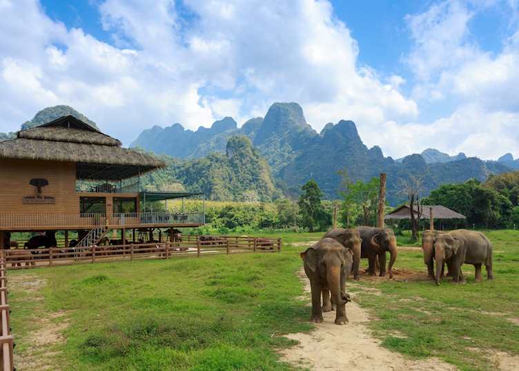 Elephant Hills Camp