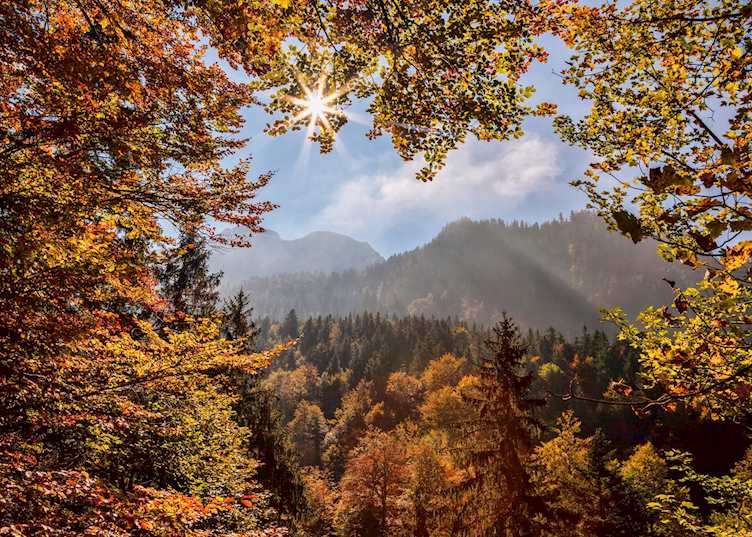 Landscape near Neuschwanstein