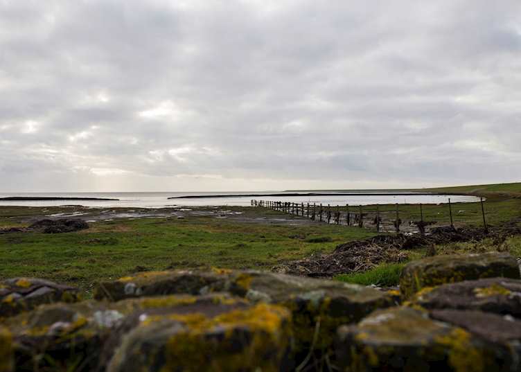 Sylt reservoir