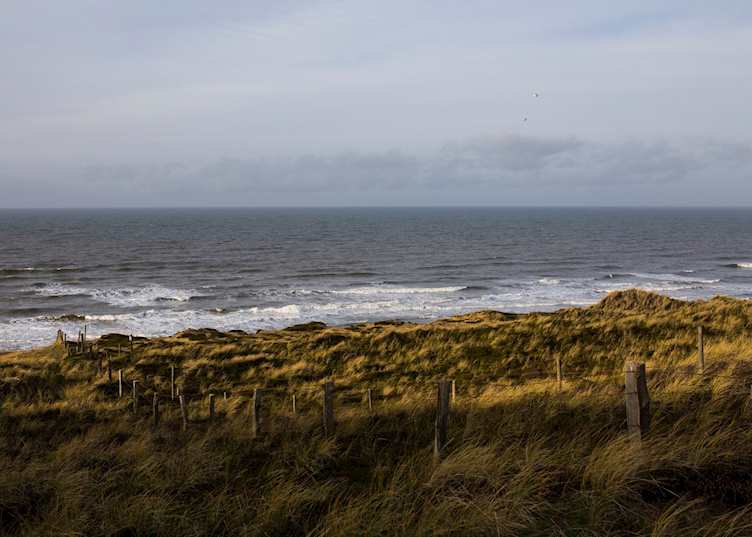Sylt sand dunes