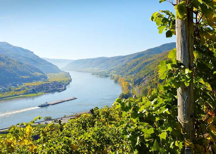 Views of the Danube River through Wachau vineyards