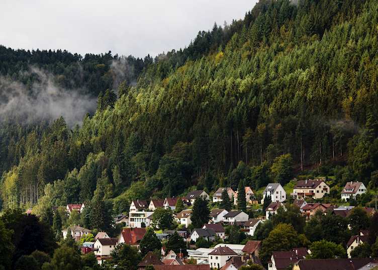 Schwarzwald, The Black Forest