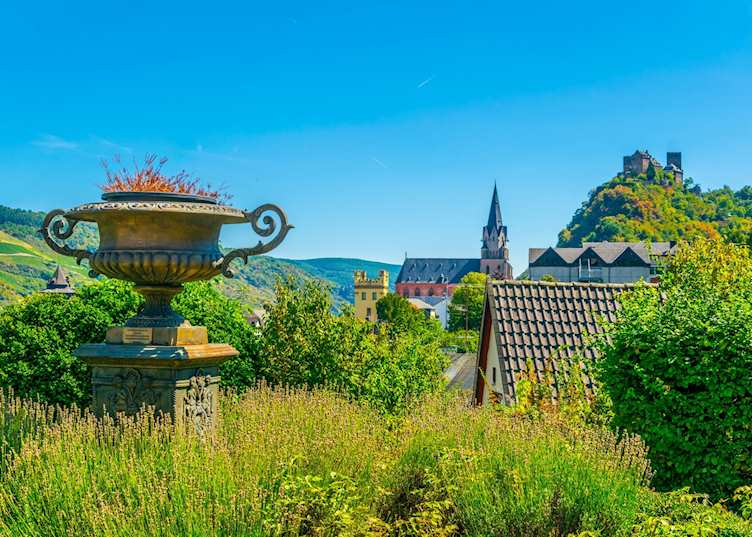Fields in Oberwesel