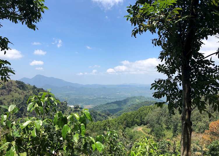 Views near Gammaduwa Village 