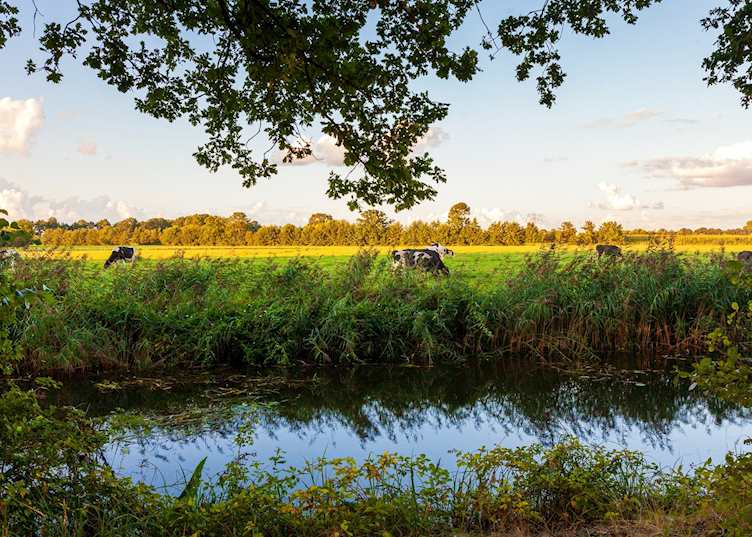 The countrywide of Amersfoort