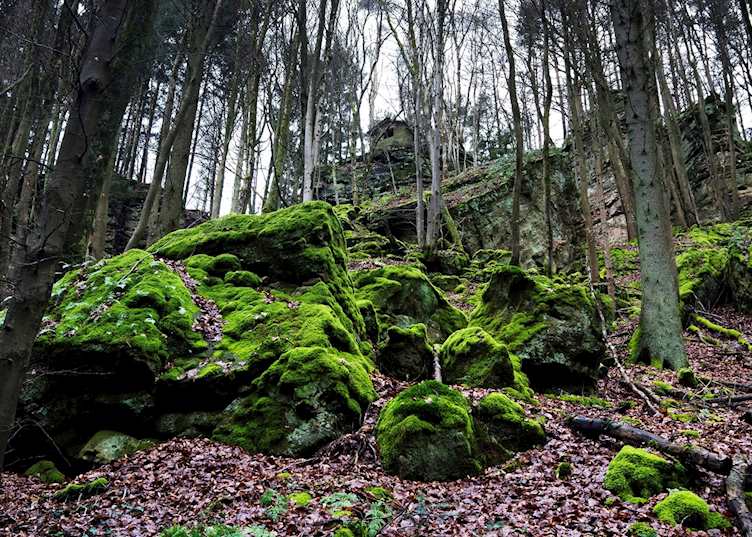 Mullerthal Trail, Luxembourg