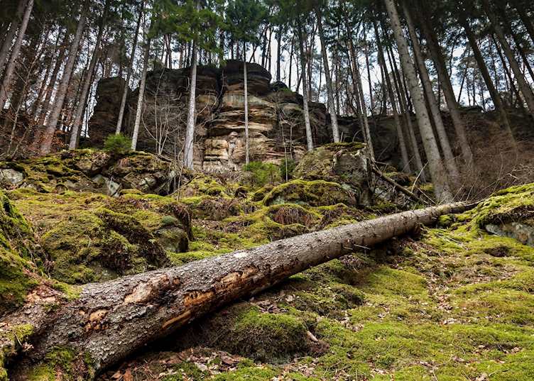 Mullerthal Trail, Luxembourg
