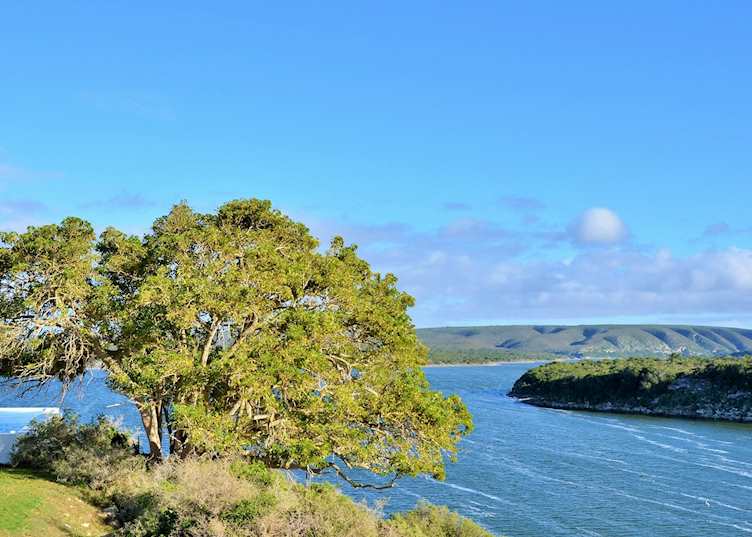 Views from De Hoop Collection, De Hoop Nature Reserve
