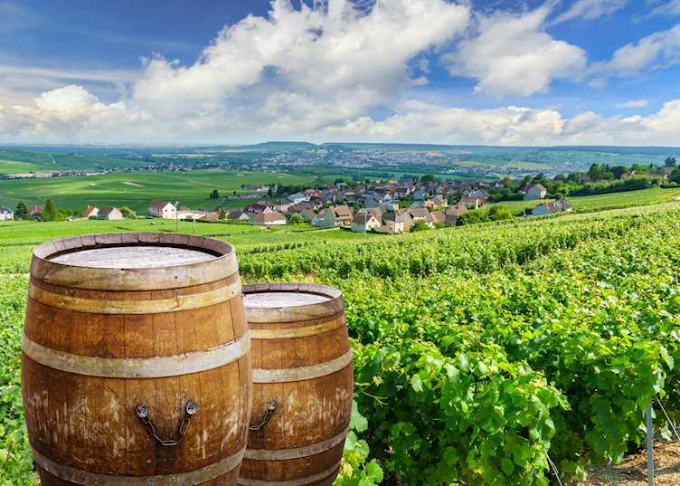 Views over Reims from the vineyards