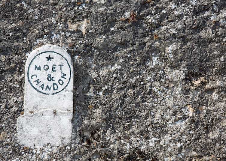 Moët & Chandon, Champagne