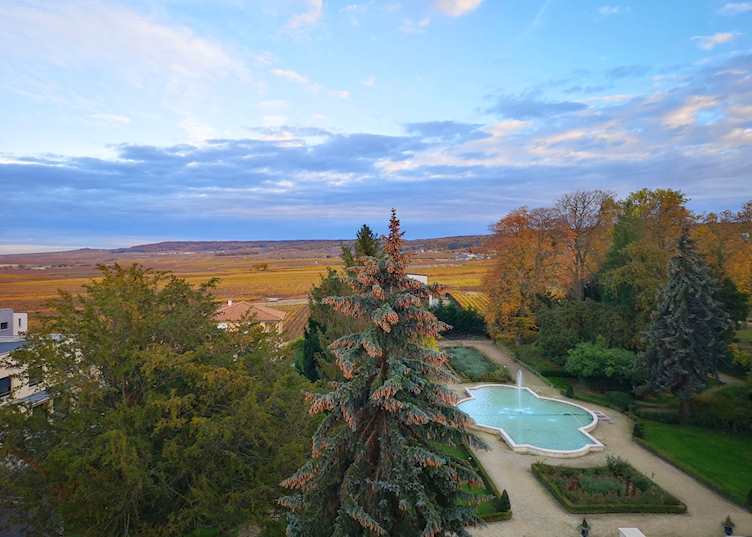 Views of Champagne vineyards