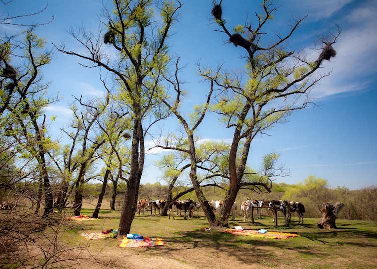 Estancia El Colibri