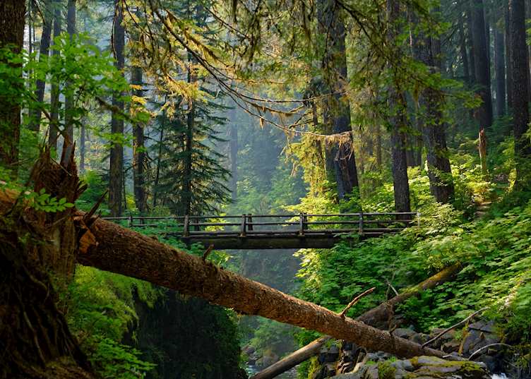 Olympic National Park, Washington
