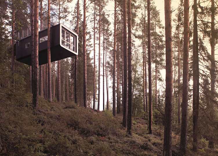 The Cabin