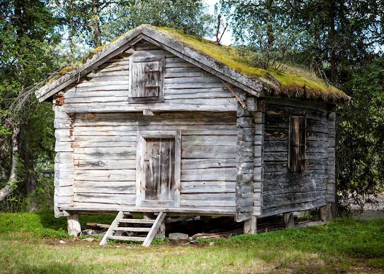 Sámi forest house