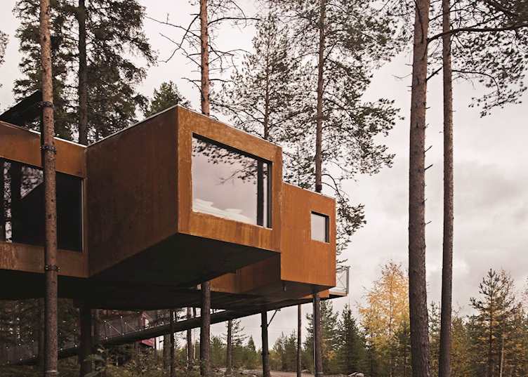 The Dragonfly, Treehotel
