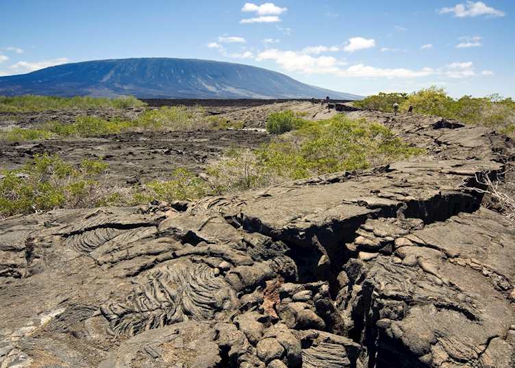 Lava field on Fernandina Island
