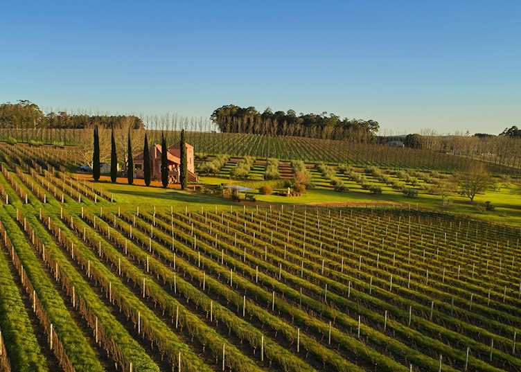 Picardy Wines, Pemberton