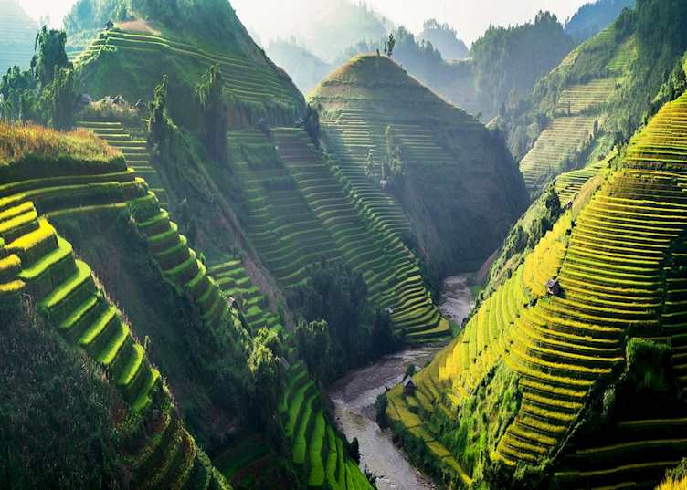 Rice terraces of Sapa