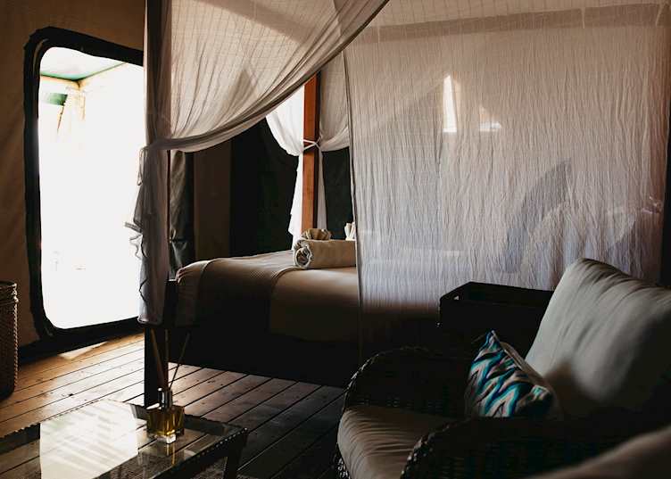 Honeymoon Tent, Sal Salis