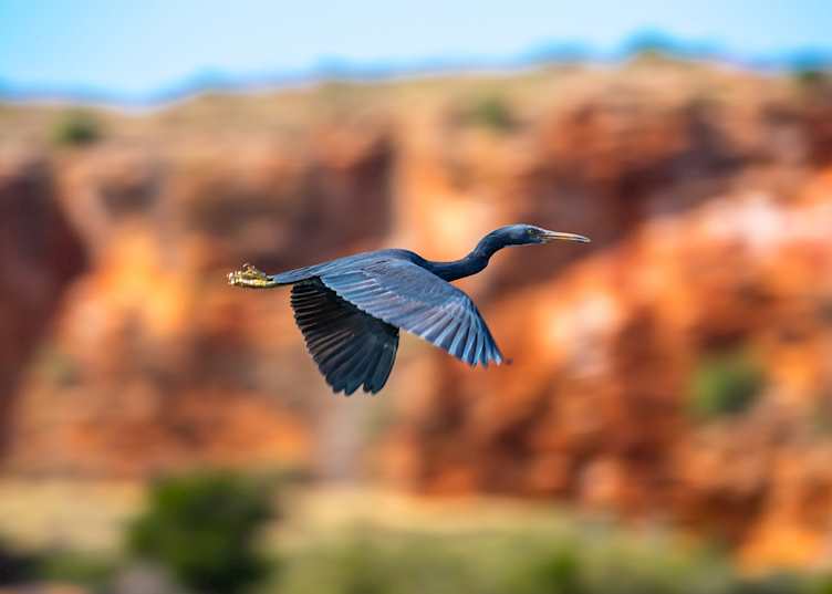 Yardie Creek, Cape Range National Park