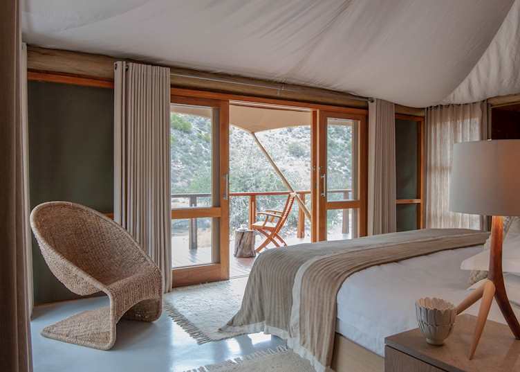 Dwyka Tented Lodge, Sanbona Wildlife Reserve