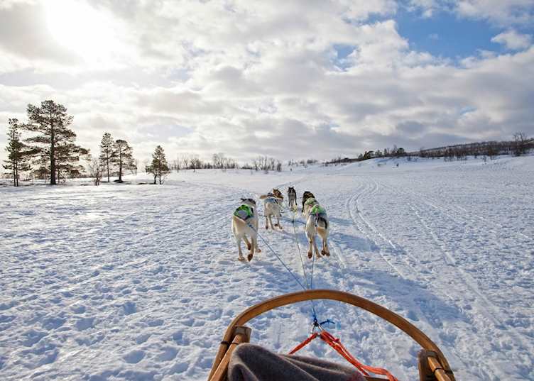 Huskies pulling sled