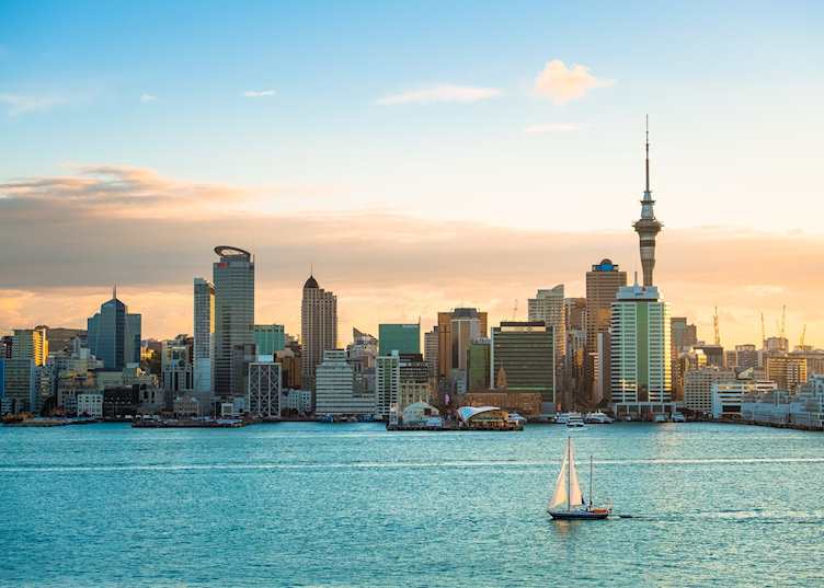 Auckland city view 