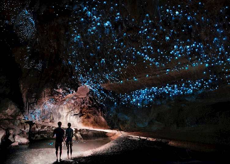 Glow worm caves Waipu cave