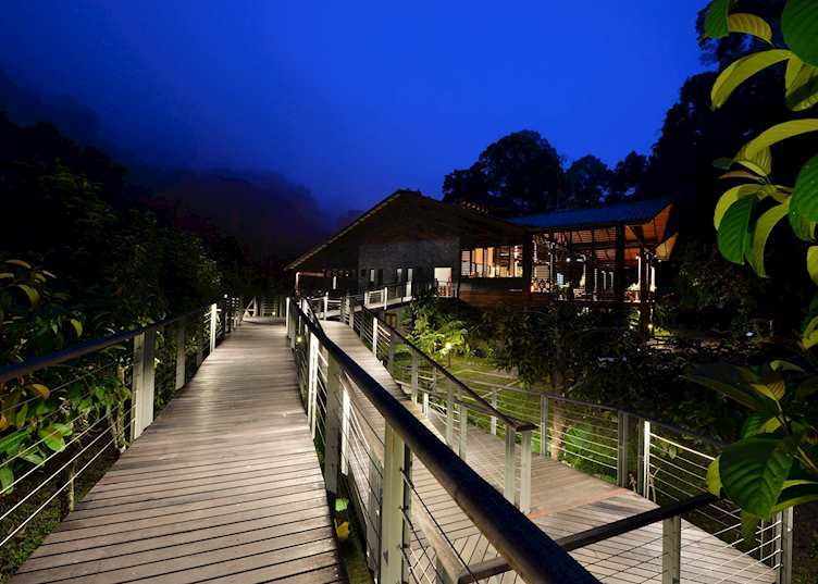 Boardwalk, Borneo Rainforest Lodge