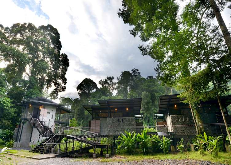 Boardwalk at Borneo Rainforest Lodge