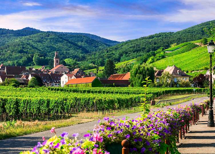 The Alsatian wine route