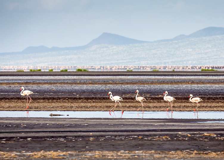 Lake Natron, Tanzania