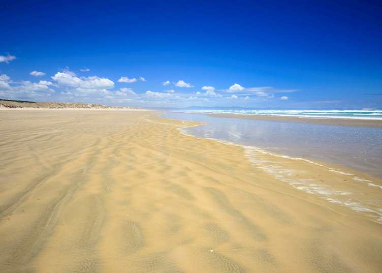 90 Mile Beach, New Zealand
