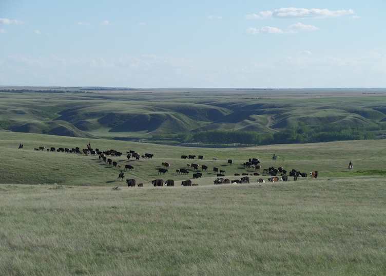 La Reata Ranch, Kyle