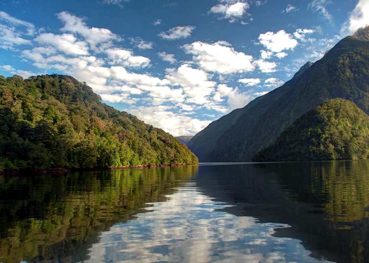 Doubtful Sound fiordland