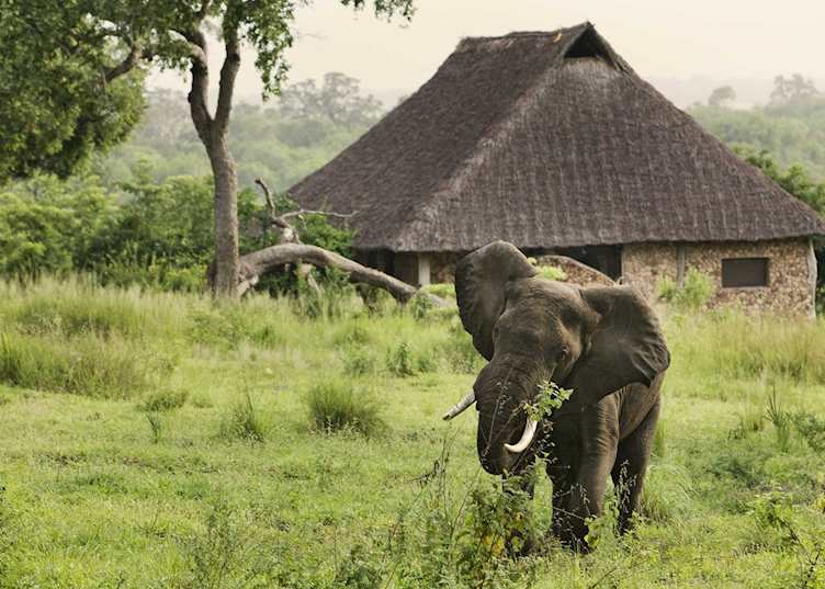 Wildlife at Beho Beho
