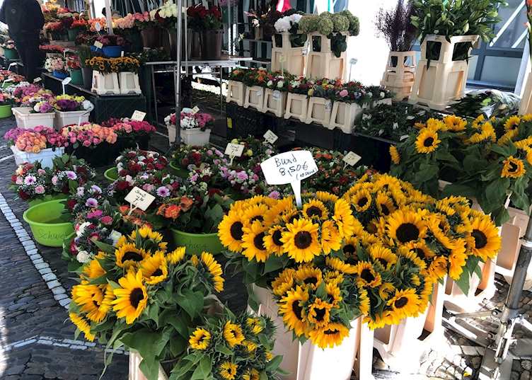 Freiburg Market