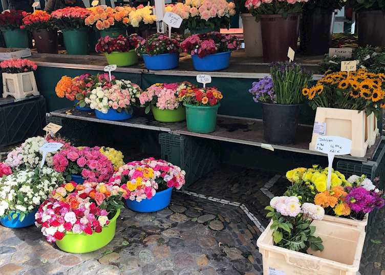 Freiburg Market
