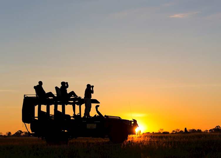Dukes Camp Sunrise Game Drive