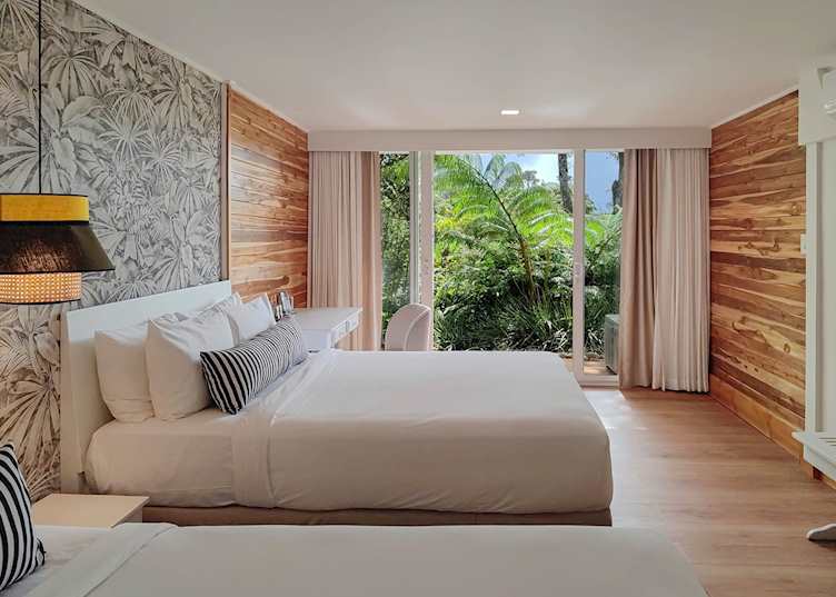 Downstairs Suite, Monteverde Lodge 