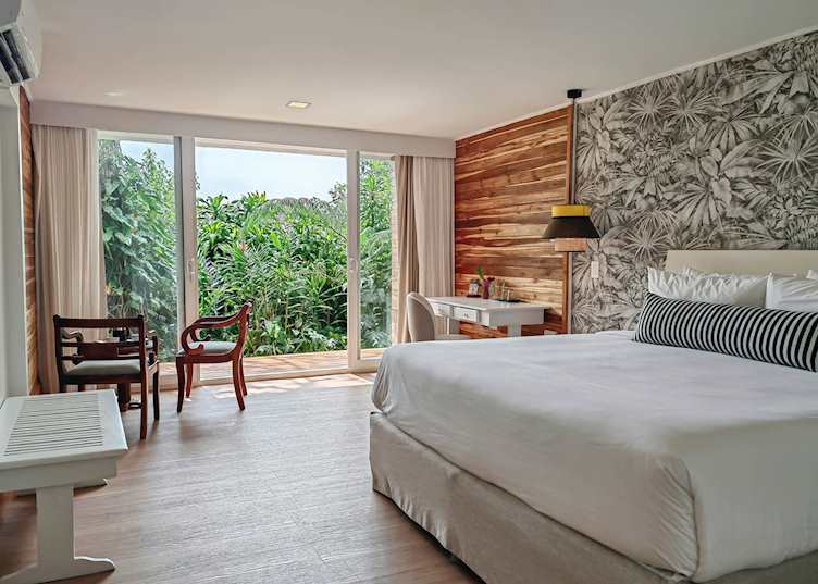 Downstairs Suite, Monteverde Lodge 