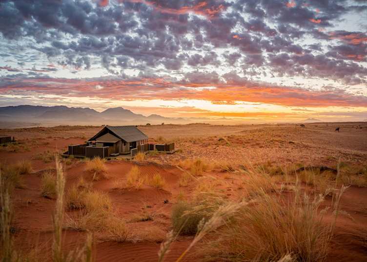 Tented accommodation, Wolwedans Dune Camp