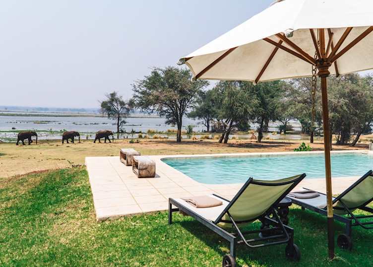 Elephants at the pool, Anabezi Camp