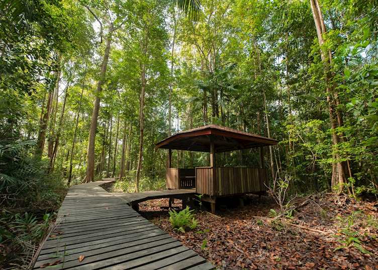 Kinabatangan Wetlands Resort