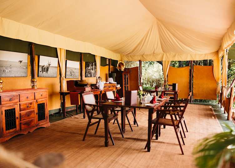Interior, Elephant Pepper Camp