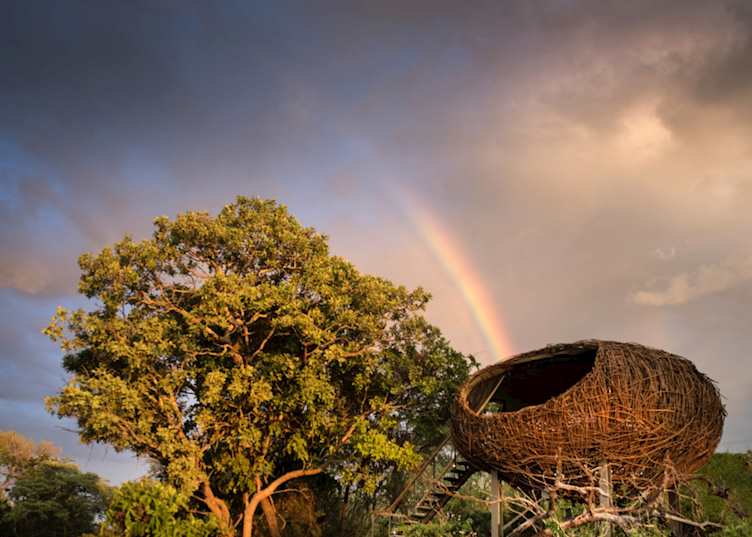 Nest room exterior, Chisa Busanga Camp