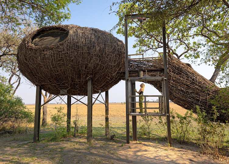 Nest room with lift, Chisa Busanga Camp