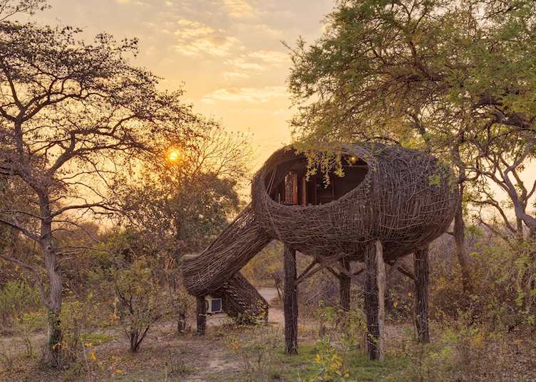 Nest exterior, Chisa Busanga Camp