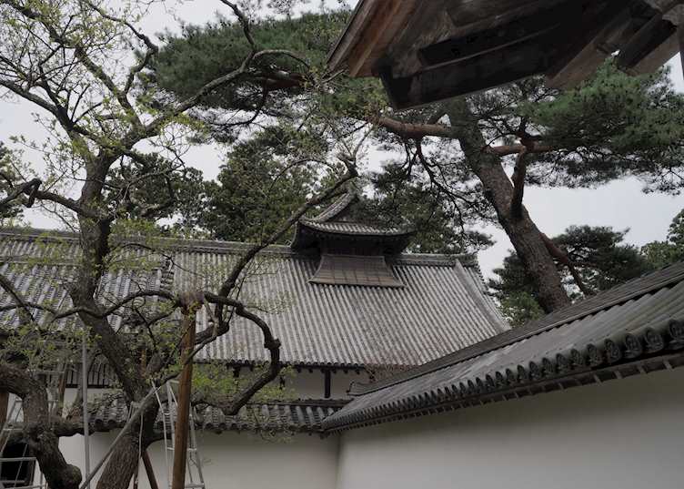 Matsushima